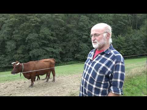 Biodiversität und Naturschutz