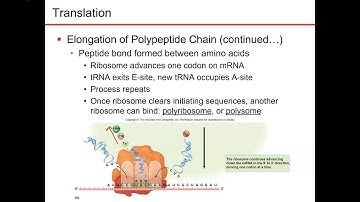 Chapter 7 part 6 microbiology nester sandburg