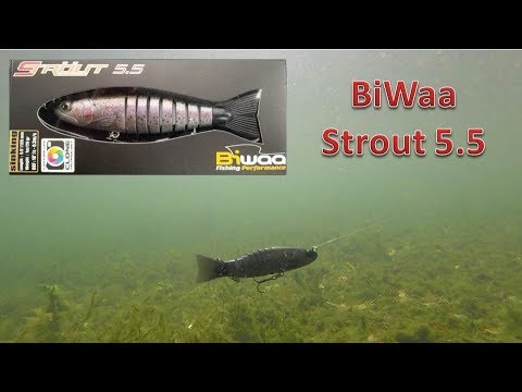 BiWaa STrout 5.5 Swimbait  Lure Review W/Underwater Footage! 