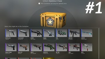 Opening 1 Case Everyday Until I Get a Knife Day 1