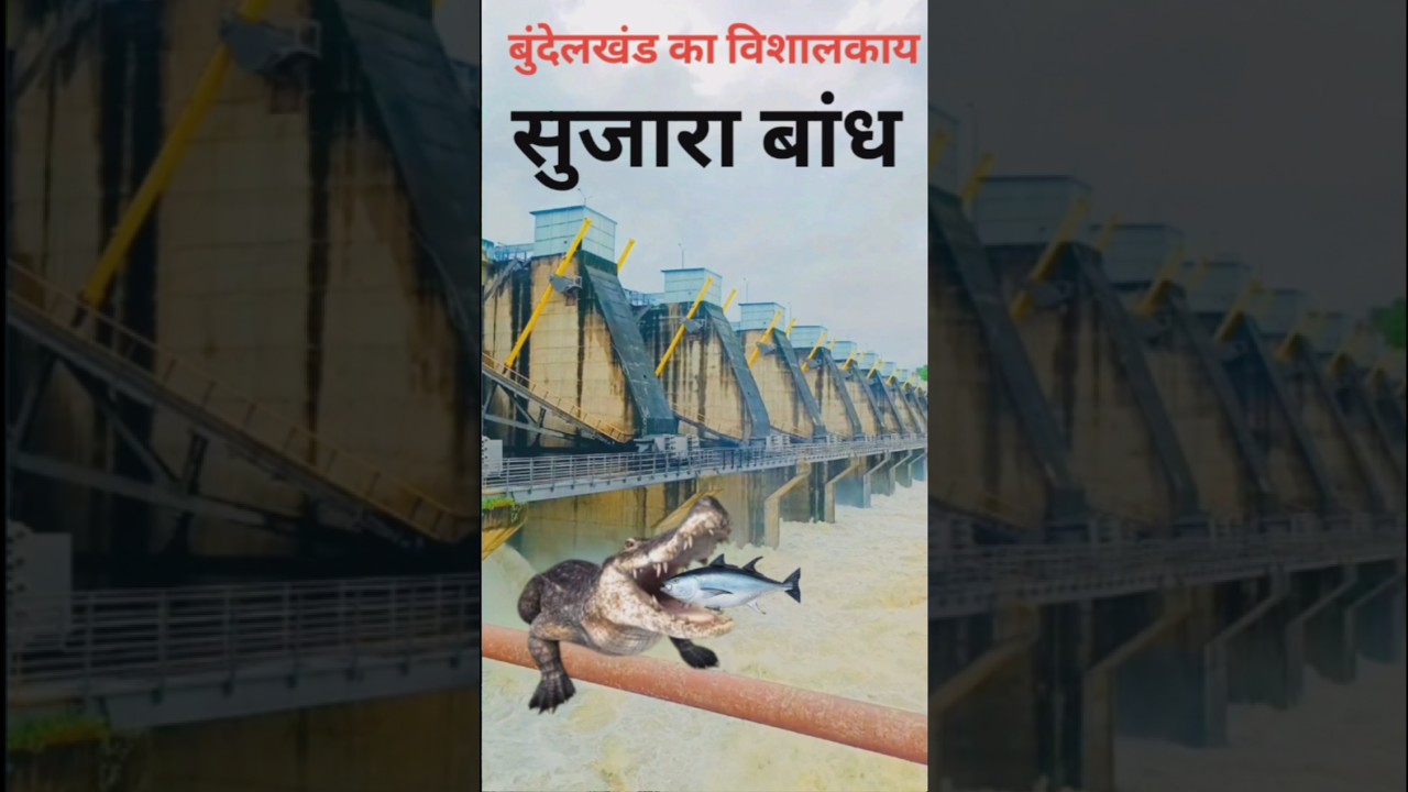 विशालकाय सुजारा बांध । SUJARA DAM । Bundelkhand का विशालकाय बांध । 