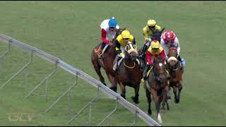 20210901 Hollywoodbets Greyville express clip Race 4 won by MARIA COROLINA