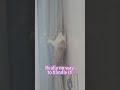 Really no way to handle it!#catmoments #catlife #funnycat #kitten #catshorts #catdailylife