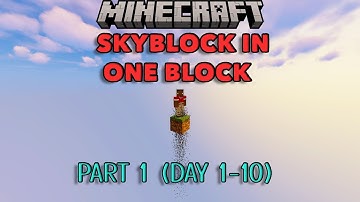 Minecraft OneBlock SkyBlock - Timelapse #1
