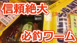 初心者必見！ロックフィッシュには外せない、最強コスパワームを徹底解説！！