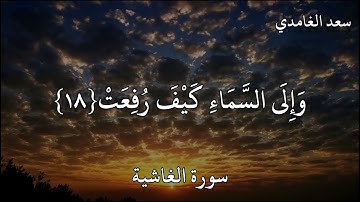 سعد الغامدي سورة الغاشية (أَفَلَا يَنْظُرُونَ إِلَى الْإِبِلِ كَيْفَ خُلِقَتْ