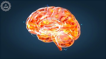 Oxygenate The Brain | Improve Blood Circulation to The Brain | Brain Health Meditation Music | 528Hz