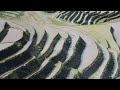 おしんの子守唄(金沢明子唱)