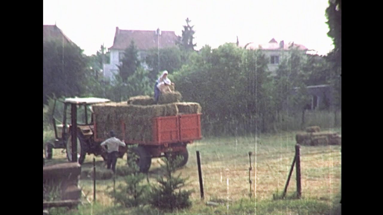 camera iphone 8 plus apk Collecting the hay 1970 France