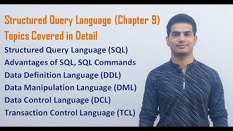 Structured Query Language (SQL) | Class 12 Computer Science with Python (Video 47)