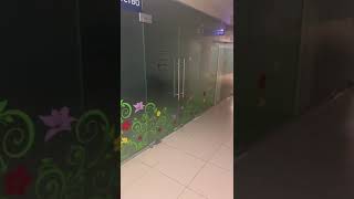 Оклейка, оформление (брендирование) витрин | NC9