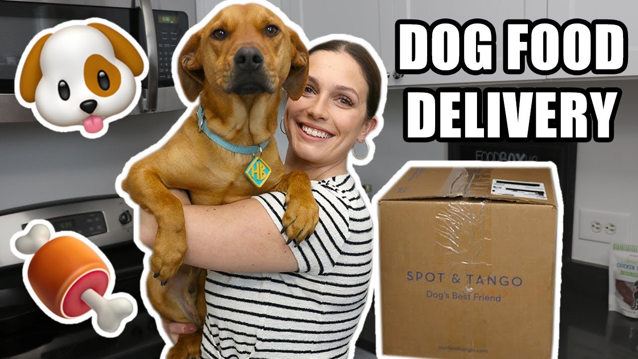 best dog food delivery