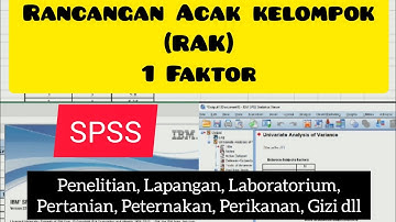 Rancangan Acak Kelompok (RAK), 1 Faktor, XL ke SPSS, mudah #pertanian#peternakan#perikanan#gizi