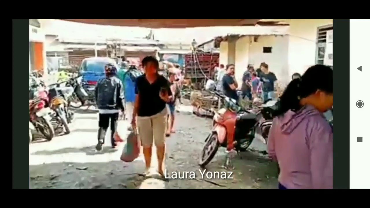 Pasar Ekstrim Di  Tomohon Sulawesi  Utara Jual Berbagai 