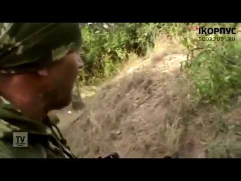 Ополчение Перестрелка Ополченцев с Нац.Гвардией 4.08.14