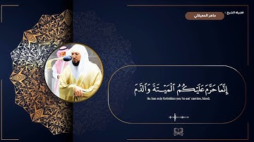 سوره البقره " صفحه 25 " | الورد اليومي بصوت الشيخ ماهر المعيقلي 🖤