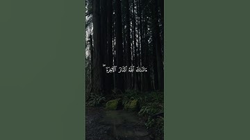 تلاوة من القرآن الكريم بصوت الشيخ عبدالبديع غيلان | سورة القصص آية رقم ٧٧ | تلاوة رائعة