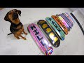 PUPPY CHOOSES MY SKATEBOARD 4!