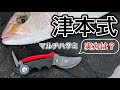 津本式のマルチハサミ使ってみた！釣り人必見！魚の血抜きはこれで充分？