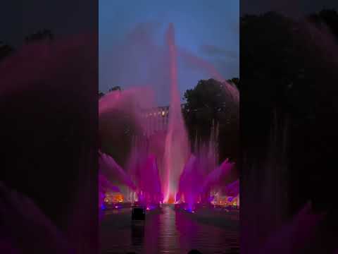 Wasserlichtkonzert in Planten