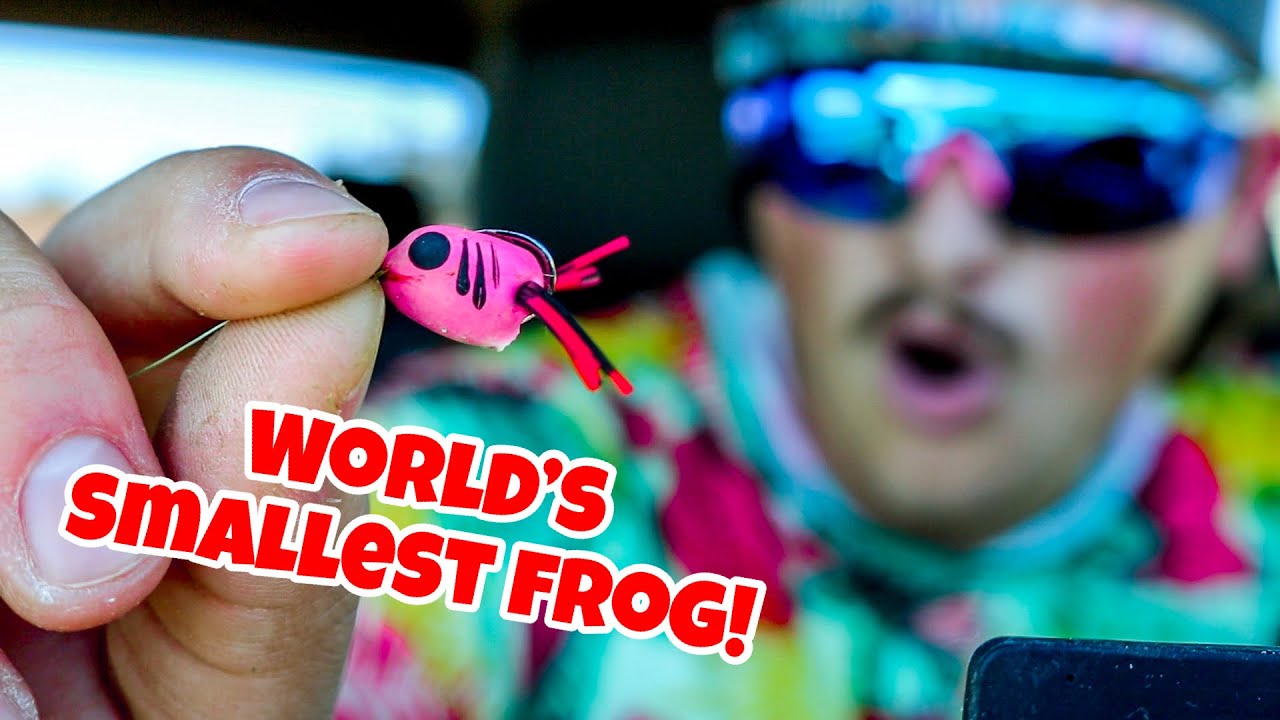 World's SMALLEST Frog Lure With BFS Gear! SO HARD 
