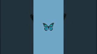 58 amazing 🤩 Girly wallpapers 💖❤️ screenshot 3