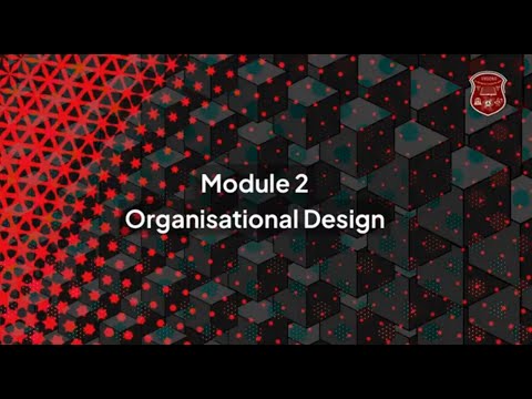 Organisational Design – Module 2 of Certified Orgtologist Program (COP)