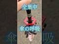 【鬼滅ガチャ】 君も柱にならないか？ 【冨岡義勇】日輪刀傘マーカーマスコット #鬼滅の刃 #ガチャガチャ #鬼滅グッズ #demonslayer #shorts #カプセルトイ #鬼滅映画