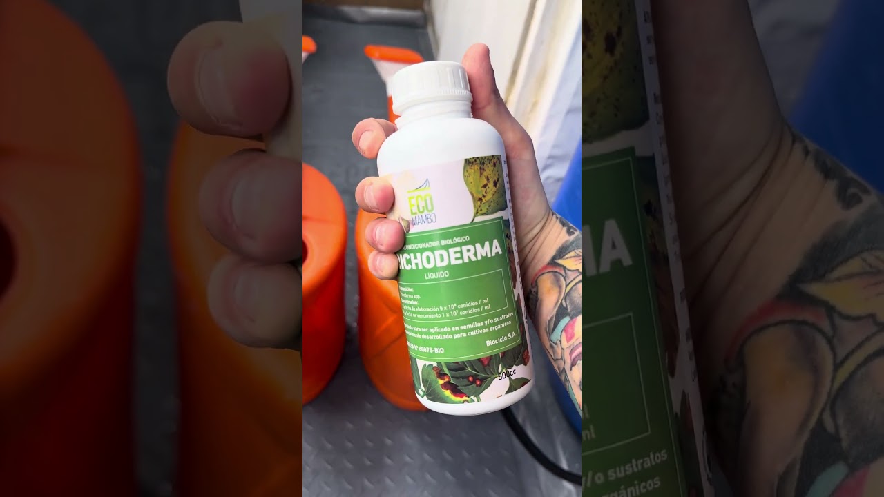 Trichodermas ecomambo