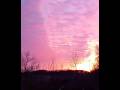 Does a red sunset have meaning? (backyard view) 💜