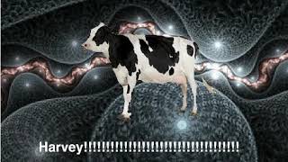 Cow Error 365
