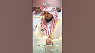 تلاوة خاشعة 🕊 سورة الشمس 🌿  الشيخ أ.د ماهر بن حمد المعيقلي
