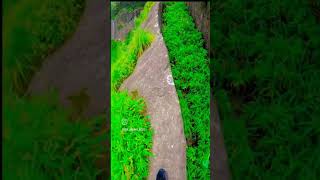 #Sahyadri is heaven #shorts #trending #monsoon2022 #sahyadri #explore #maharashtra #short#adventure