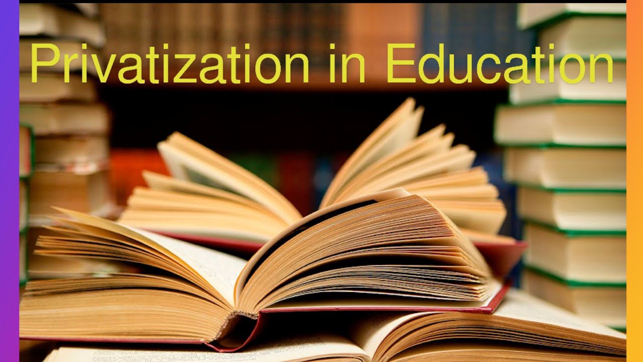 privatization of higher education essay