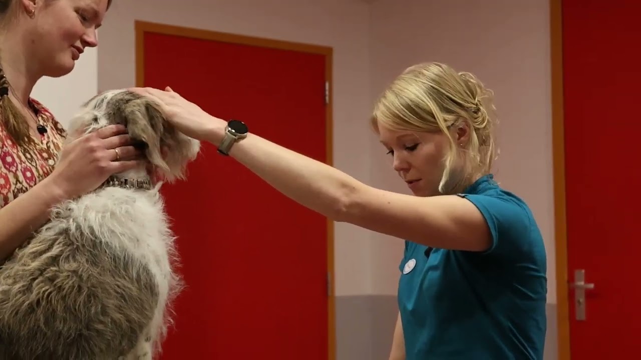 Traanproductiemeting met behulp van de Schirmer tear test