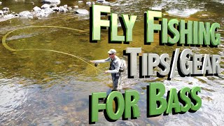 Fly Fishing Bass Tips, Techniques and Gear by Fish Tails 3,296 views 8 months ago 11 minutes, 23 seconds