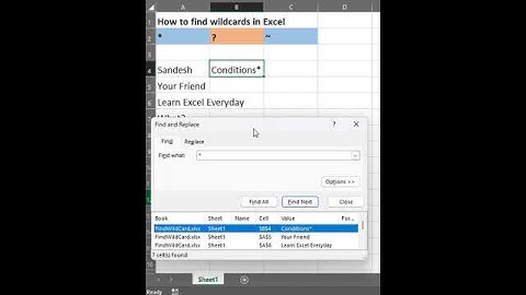 How to Find Wildcards in Excel #shorts #excel #tips 🤫😎🥦