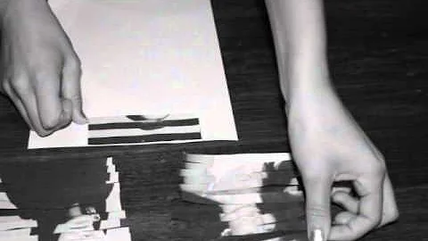 shirin neshat - estelle chambers.wmv