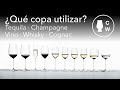 ¿Qué copas usar? Tequila · Vino · Champagne · Whisky · Cognac