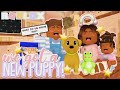 We ADOPTED A DOG! *OUR KIDS ARE SO HAPPY* Roblox Bloxburg Roleplay