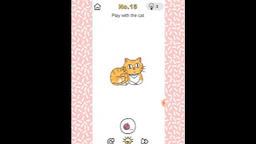 Brain Out Crazy Find Level 13 Play with the cat
