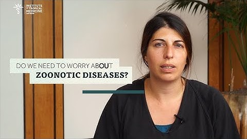 Intermission S1E1 - Bites, sips & breaths with Luciana Lepore