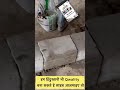hiifix Block adhesive