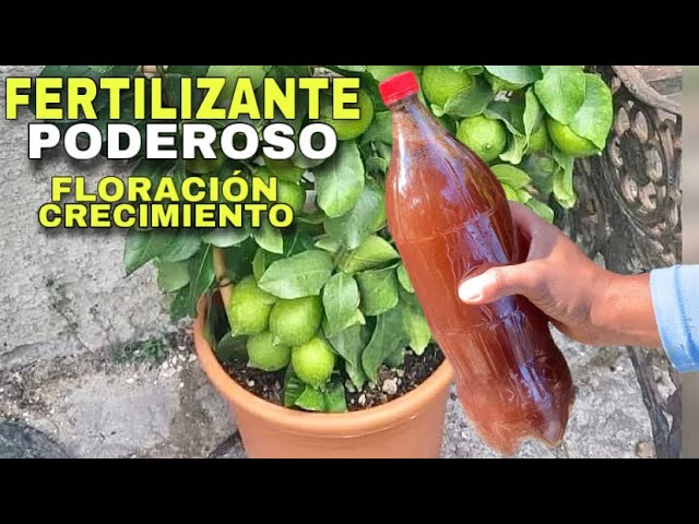 Fertilizante de arranque para árboles - Oferta Limitada en Stock