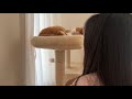 猫のシッター第1号誕生。