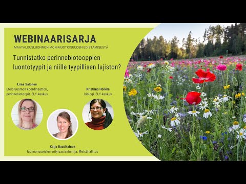 Video: Mäntyjen tunnistaminen – erilaisia mäntyjä, joita voit kasvattaa maisemassa