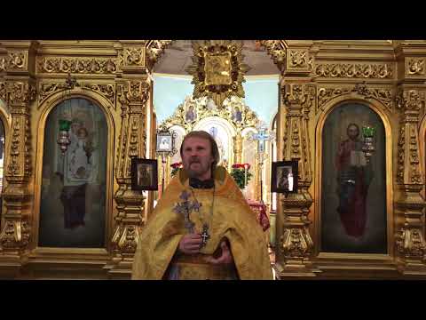Неделя 9-я по
