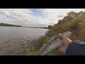 Рыбалка  рядом с городом  река  Ока