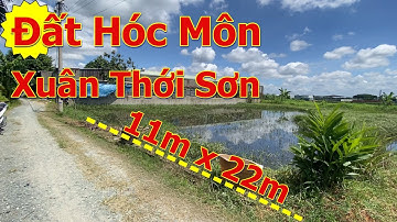 Đất Xuân Thới Sơn, Hóc Môn. Thích hợp xây biệt Thự, nhà vườn.