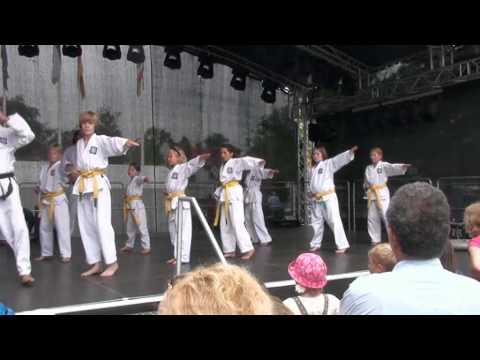 Traditionelles Tae Kwon Do nach Kwon Jae-Hwa